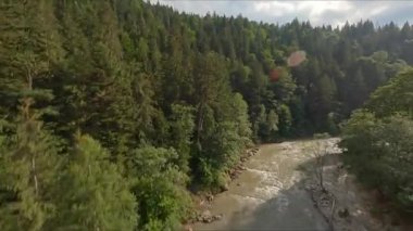 Kozalaklı Orman ile çevrili Fırtına Dağı Nehri. Kirli ve Hızlı Su. Yüksekten ateş ediliyor. Yoğun Orman Üzerindeki Güneşli Gökyüzünü Temizle.