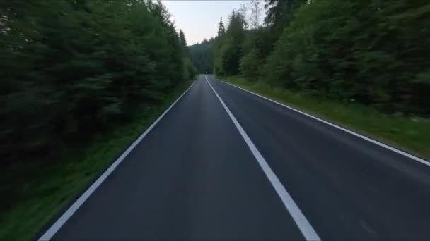 아스팔트 주변은 숲으로 둘러싸여 자동차 도로를 속도를 아름다운 산으로 — 비디오