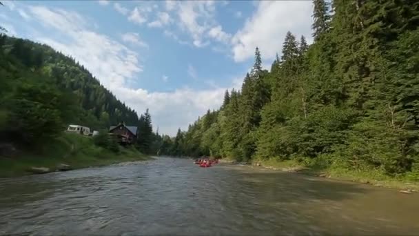 Rafting Mountain Riveren Emberek Csónakokban Viharfolyó Folyóparti Erdőn Vadon Élő — Stock videók
