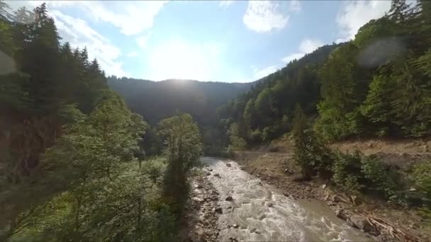 Rivière Stormy Mountain Entourée Forêts Conifères Eau Sale Rapide Ciel — Video