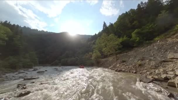 Stormiga Mountain River Omgiven Barrskog Smutsigt Och Snabbt Vatten Solig — Stockvideo