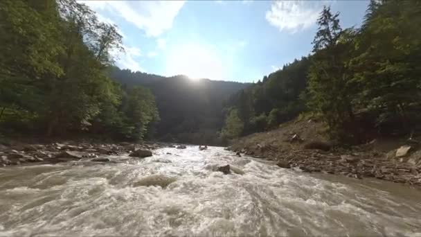 Stormy Mountain River Rodeado Por Floresta Coníferas Água Suja Rápida — Vídeo de Stock