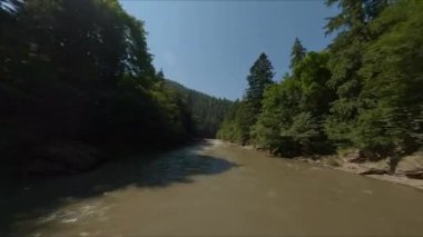 Kozalaklı Orman ile çevrili Fırtına Dağı Nehri. Kirli ve Hızlı Su. Yoğun Ormanın Üzerindeki Güneşli Gökyüzü.