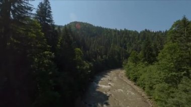Kozalaklı Orman ile çevrili Fırtına Dağı Nehri. Kirli ve Hızlı Su. Yüksekten ateş ediliyor. Yoğun Orman Üzerindeki Güneşli Gökyüzünü Temizle.