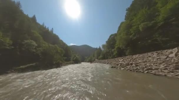 Stormy Mountain River Rodeado Por Floresta Coníferas Água Suja Rápida — Vídeo de Stock