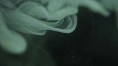 Suya dökülen beyaz boya akıntısı. Soyut Görüntüler. Hayal gücü sanatı. İnce ve Kalın Boyalı Jetler.