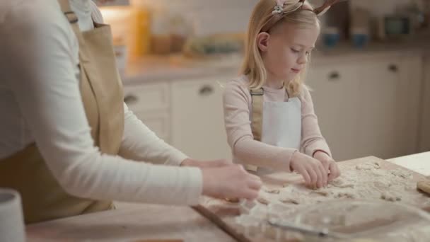 Noel Tatilleri Büyükannem Küçük Kızım Mutfakta Önlüklü Yeni Yıl Pastası — Stok video