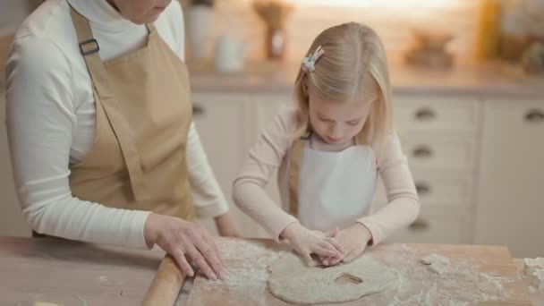 Vacances Noël Grand Mère Petite Fille Dans Cuisine Derrière Eux — Video