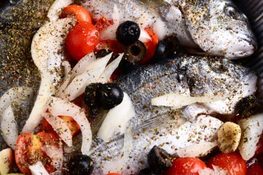 yaldızlı kafa çipura hazırlık