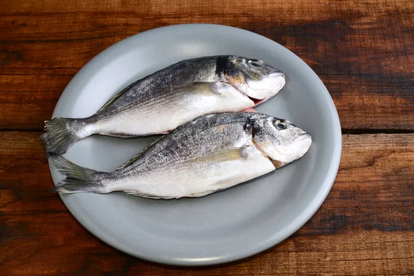 yaldızlı baş çipura