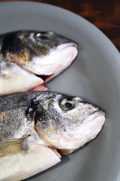 Gilt head bream — Stock Photo, Image