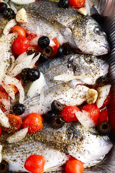 Gilt-head bream preparation — Stock Photo, Image