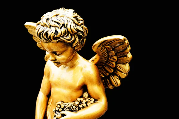 küçük altın melek