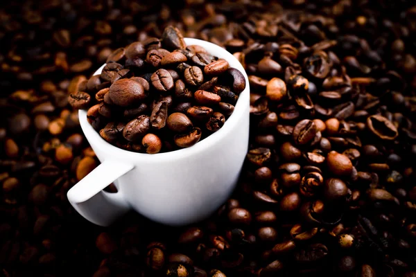 Coffee blends — Stock Photo, Image