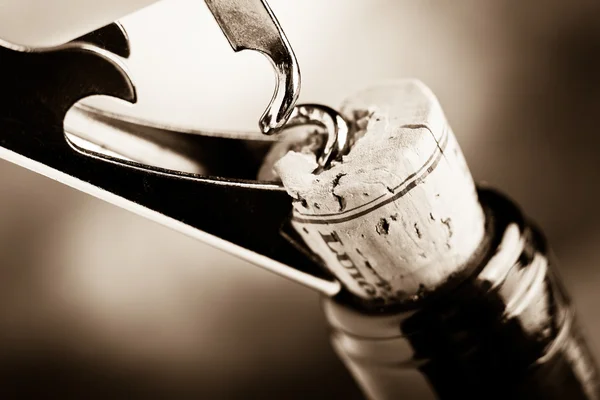 kırmızı şarap tadımı