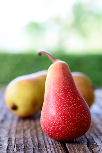 Biologische peren — Stockfoto