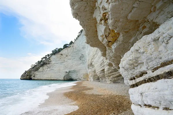 vignanotica beach - gargano - puglia - İtalya