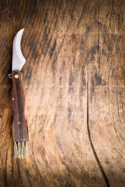 Background for mushrooms menu — Stock Photo, Image