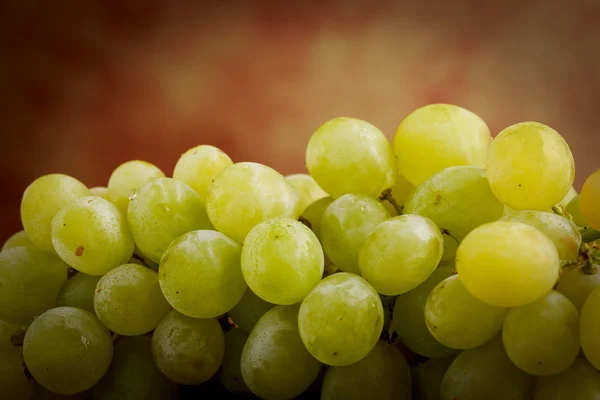 White grape — Stock Photo, Image