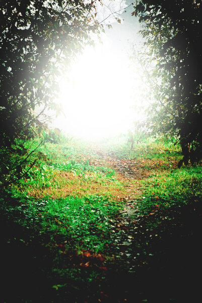 мистический свет
