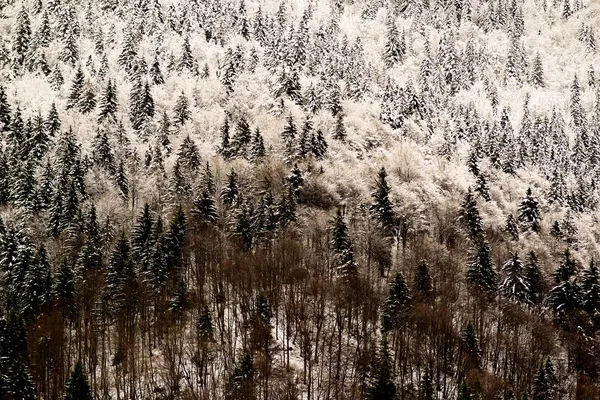 高山の冬景色 — ストック写真