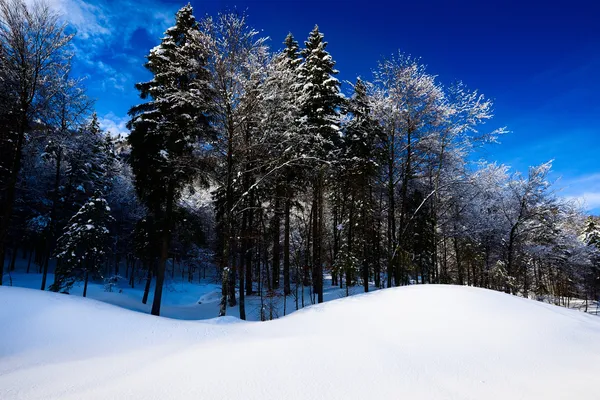 Paesaggio invernale alpino — Foto Stock