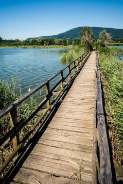 Sebino turba bataklık, Lombardiya, İtalya
