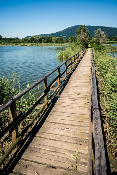 Torbiera Sebino, Lombardia, Italia — Foto Stock