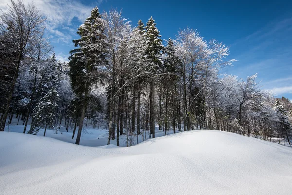 Paesaggio montano invernale — Foto Stock