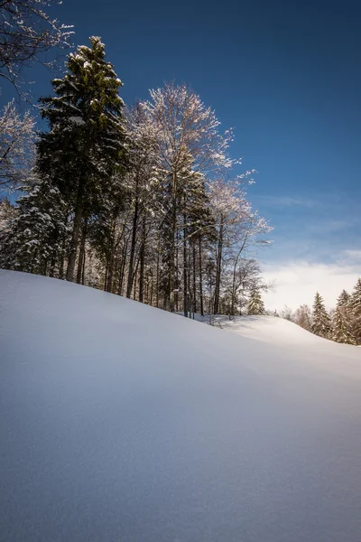 Vinterbergslandskap — Stockfoto