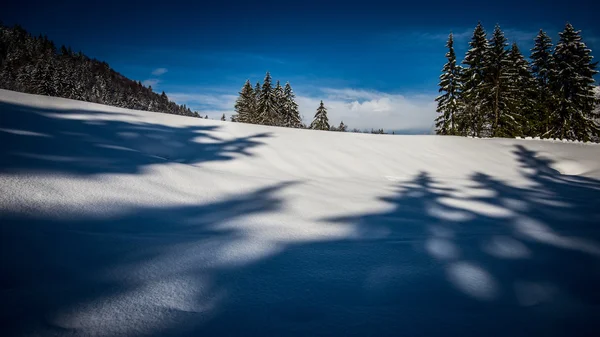 Paysage de montagne d'hiver — Photo