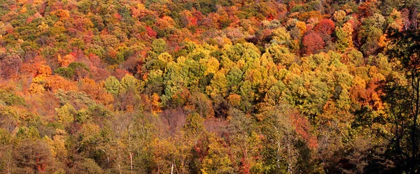 Panorama d'autunno — Foto Stock