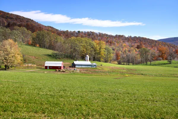 Escena de granja — Foto de Stock