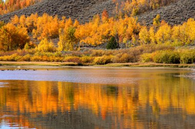 sonbahar yansımalar