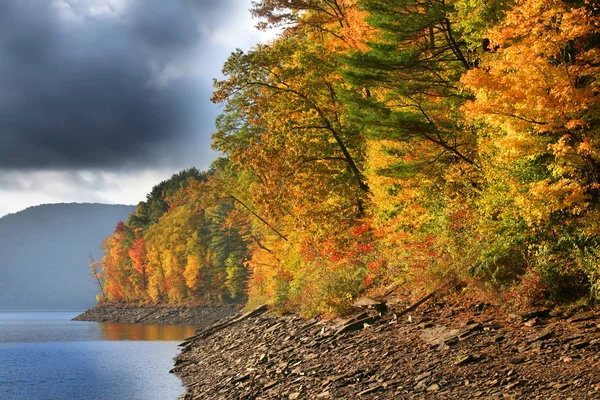 Allegheny National forest — Stock Photo, Image