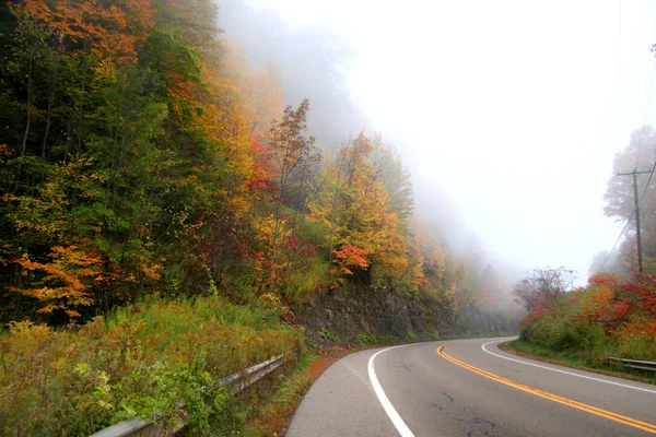 Niebla en el camino alto — Foto de Stock