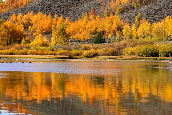 Autumn reflections — Stock Photo, Image