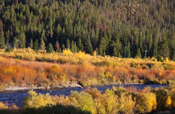 Autumn in Yellow stone — Stock Photo, Image