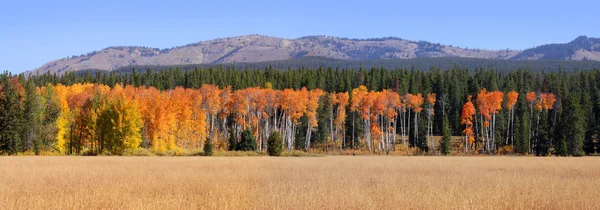 Herbstpanorama — Stockfoto