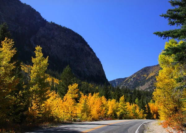 Осенний пейзаж и дорога — стоковое фото