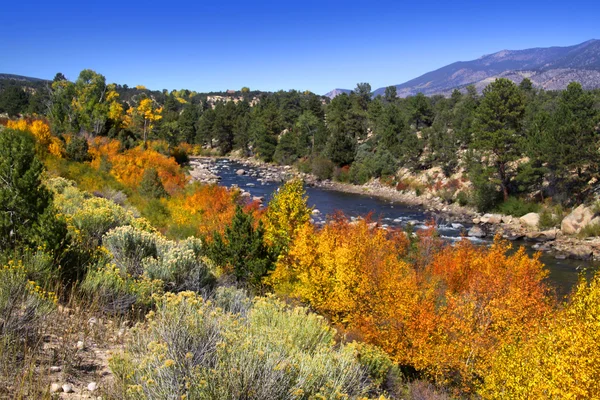 Buena Vista River — Stock Photo, Image