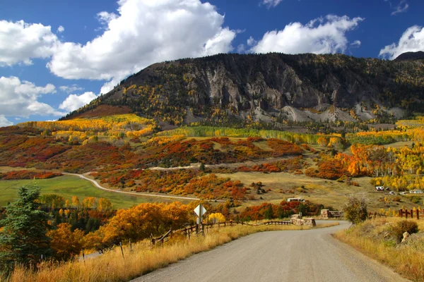 Last dollar road — Stock Photo, Image