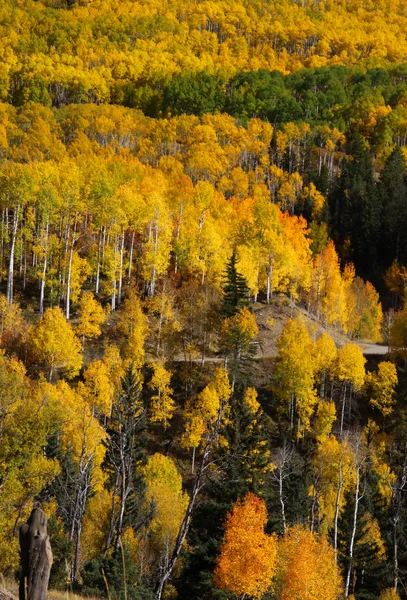 Fall in rocky mountains — Stock Photo, Image