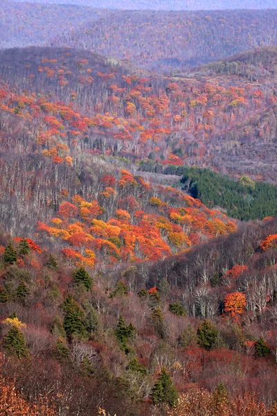 Vallée d'automne pittoresque — Photo