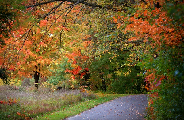 ミシガン州の秋 — ストック写真