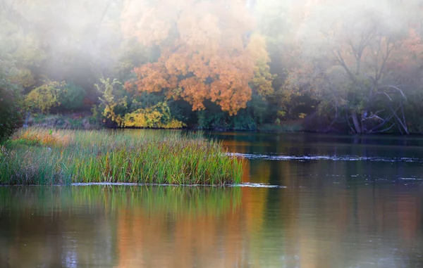 Nebel am frühen Morgen — Stockfoto