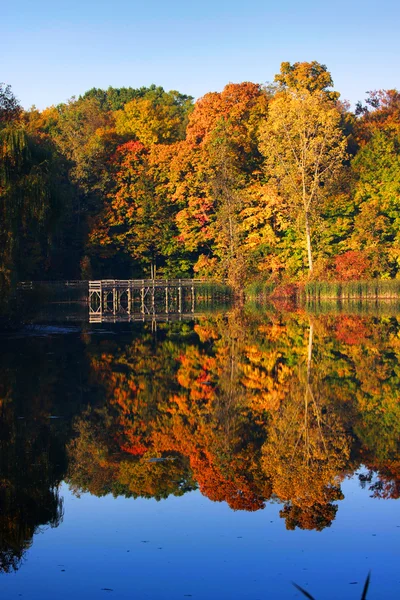 Autumn reflection — Stock Photo, Image