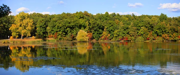 Panoramautsikt hösten reflektioner — Stockfoto