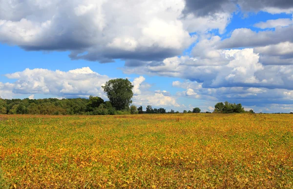 Farm in autumn time — Stock Photo, Image