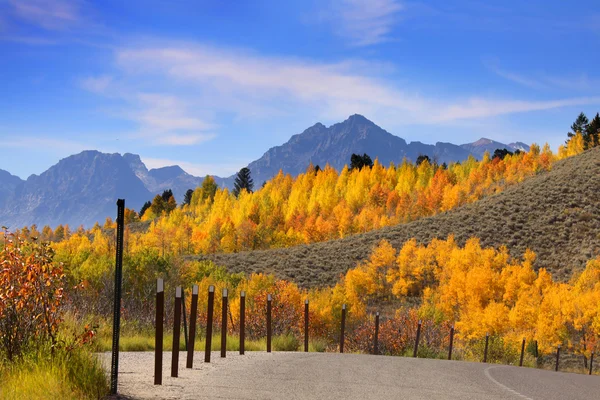 Herfst in de grand Tetons boven u uit — Stockfoto